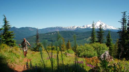 Trip Report: Intro to Backpacking on Rho Ridge