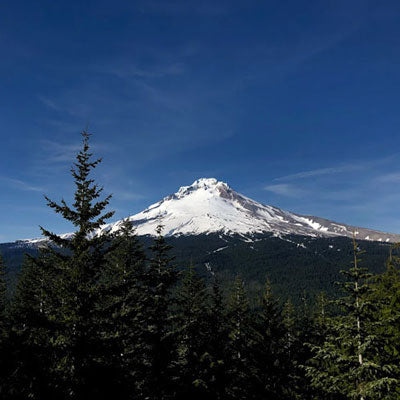 Multorpor Mountain