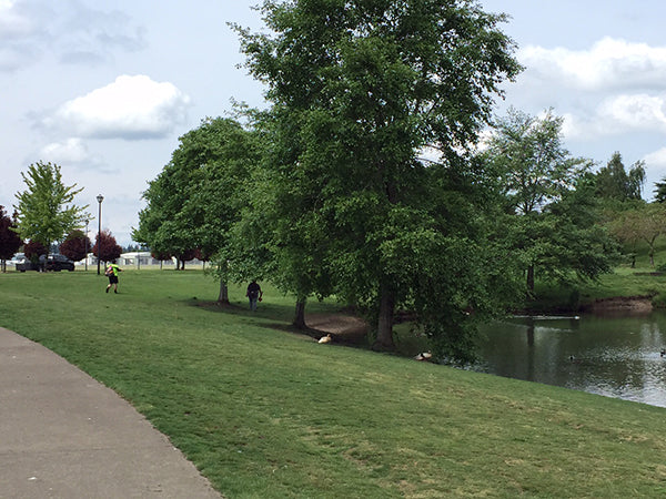 Event Report: Race For The Cup Disc Golf Tournament