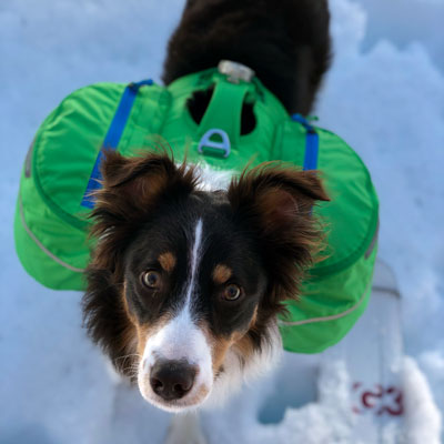Ruffwear Approach Pack