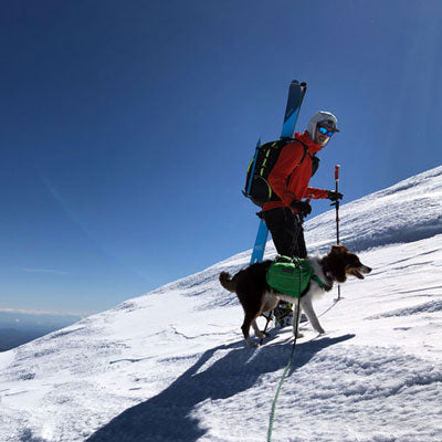 Ruffwear Polar Trex Dog Booties