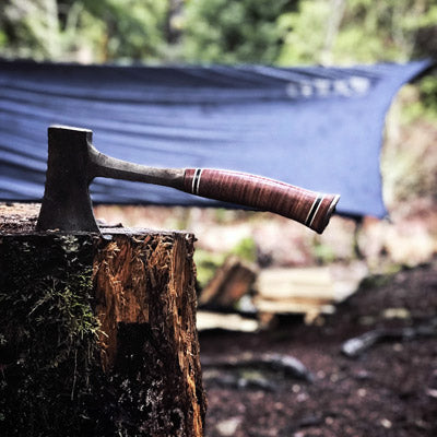 Mt Rainier National Park