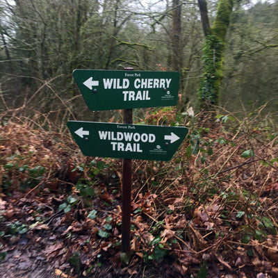 Wildwood Trail, Forest Park