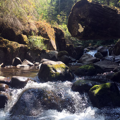 North Fork Clackamas River