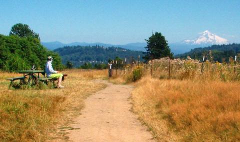 Views and Brews by Bike