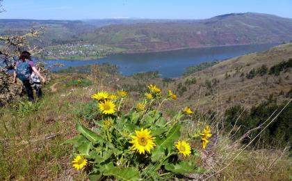 TRIP REPORT:  East Side Wildflower Hike