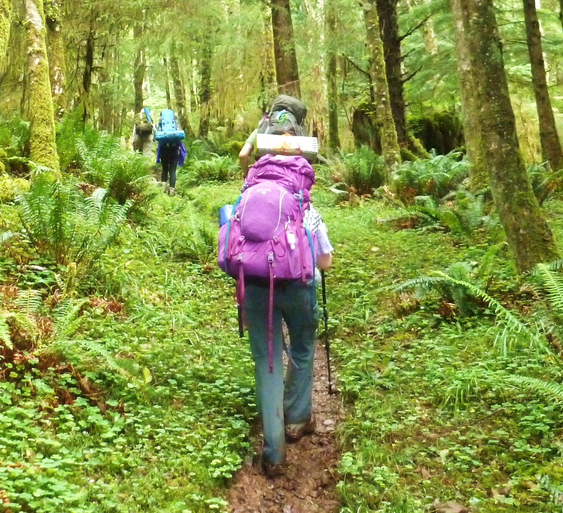 Trip Report: Outdoor School Oregon Coast Backpack