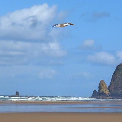 Oregon Coast Hiking