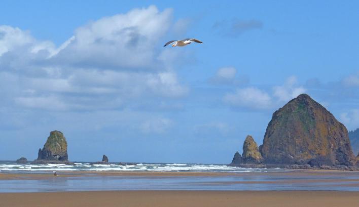 Oregon Coast Hiking