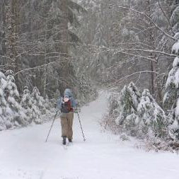 TRIP REPORT: XC Skiing Mt. Hood