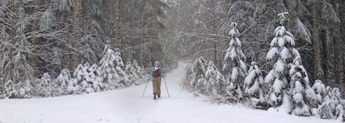 TRIP REPORT: XC Skiing Mt. Hood