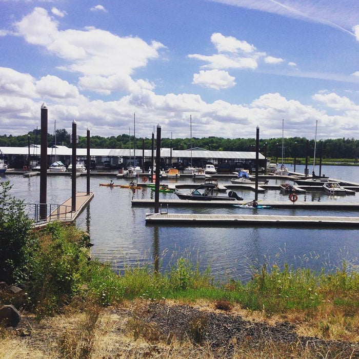 Trip Report: Paddle boarding in Scappoose Bay