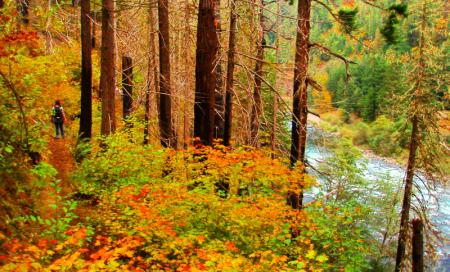 Trip Report: Pup Creek Falls Hike