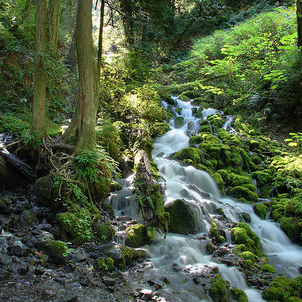 Trip Report: Wakheena Falls Loop