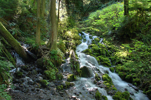 Trip Report: Wakheena Falls Loop