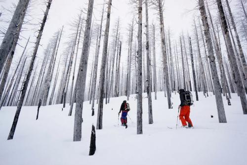 Winter Recreation in the Pacific Northwest