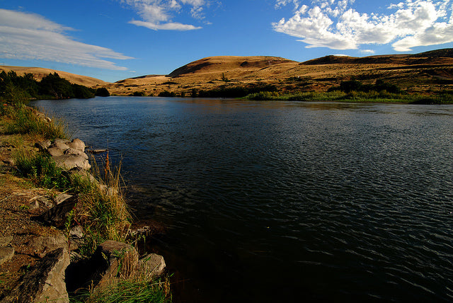 Trip Report: Deschutes River