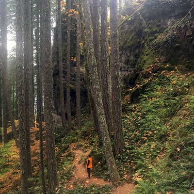 Castle Canyon Trail