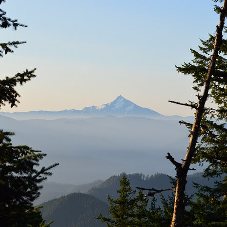 Trip Report: High Lake Mt. Hood National Forest