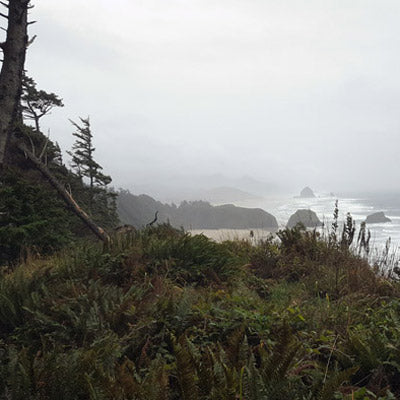 Ecola State Park