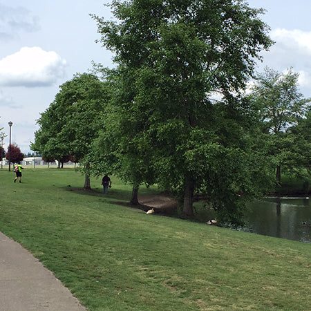 Event Report: Race For The Cup Disc Golf Tournament