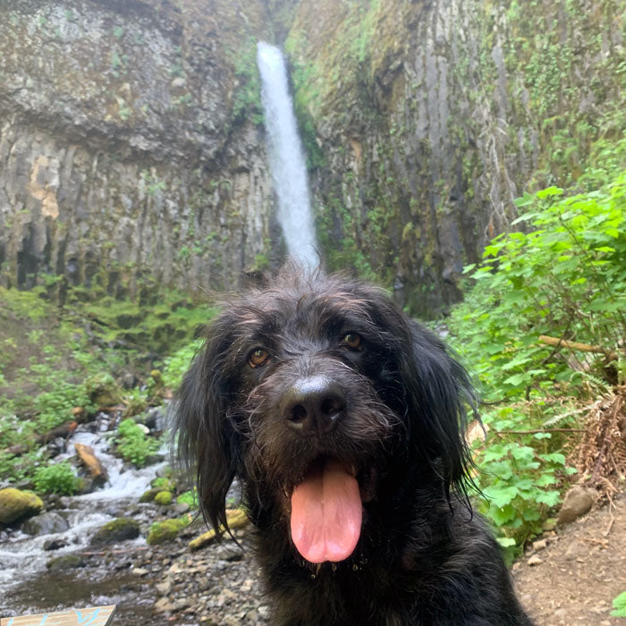 Dry Creek Falls