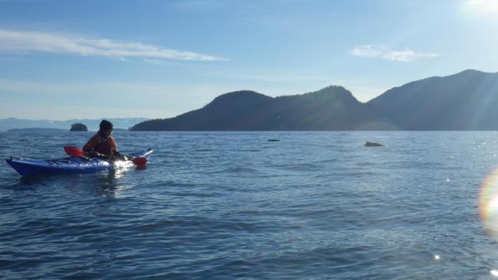 San Juans Sea Kayaking Trip