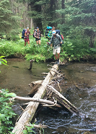 Section hiking the PCT