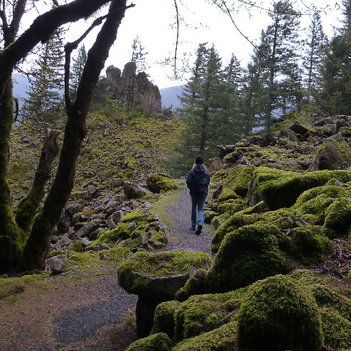 TRIP REPORT: LITTLE BEACON ROCK