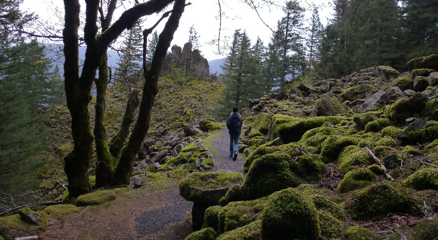 TRIP REPORT: LITTLE BEACON ROCK