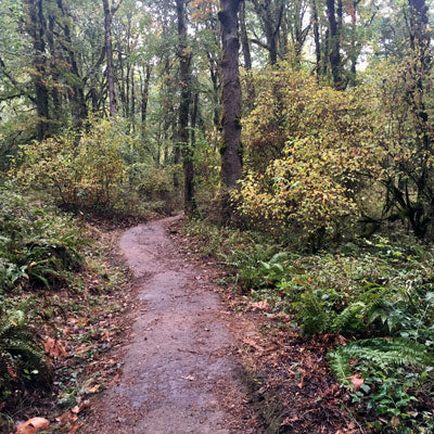 Mount Talbert Hiking Area