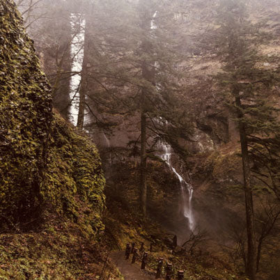 Multnomah Falls