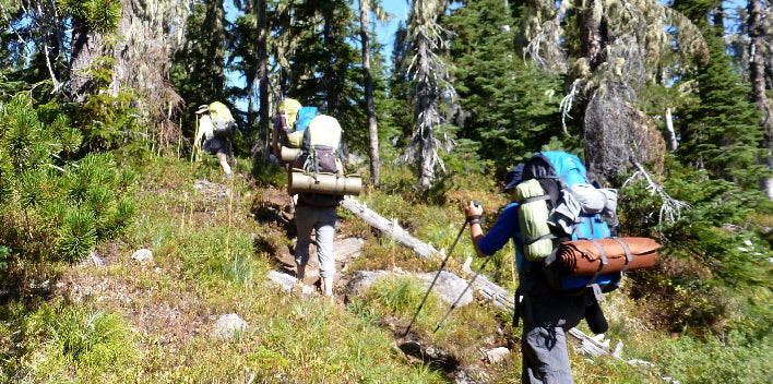 Wild on the Pacific Crest Trail