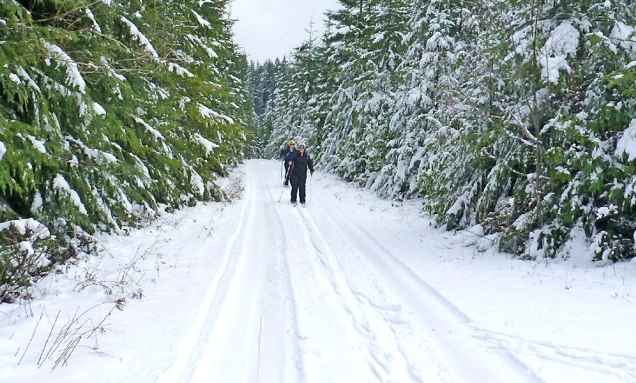 Trip Report: Snowshoe & Cross-Country Ski Tours