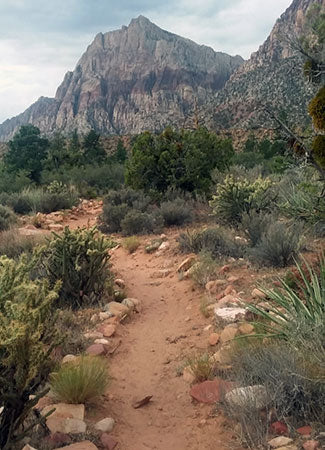 Pine Ridge Trail, Red Rock Canyon National Conservation Area (Nevada)