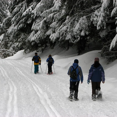 5 Reasons To Try Snowshoeing