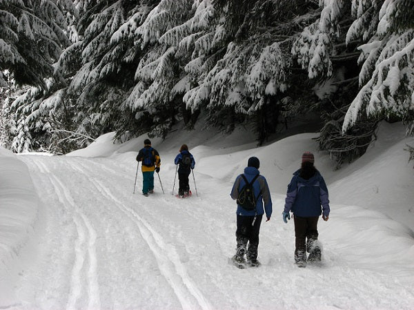 5 Reasons To Try Snowshoeing