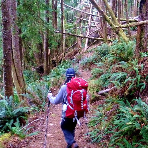 Backpacking the Oregon Coast Trail: Tillamook Head