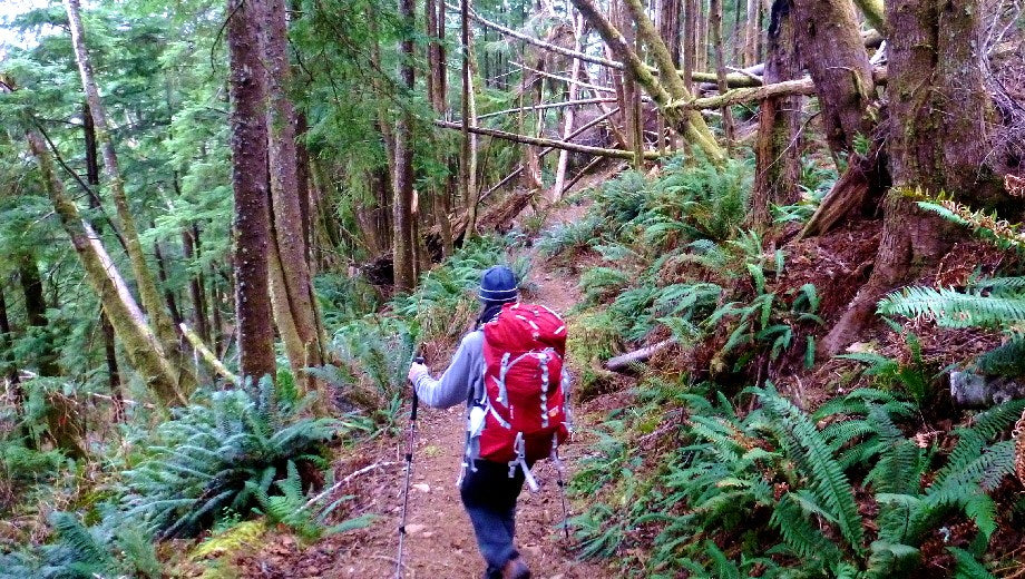 Backpacking the Oregon Coast Trail: Tillamook Head