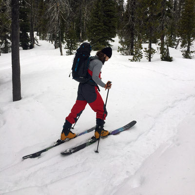 Black Diamond Traverse Ski Pole