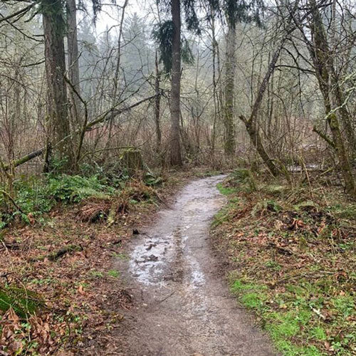 Tualatin Hills Nature Park