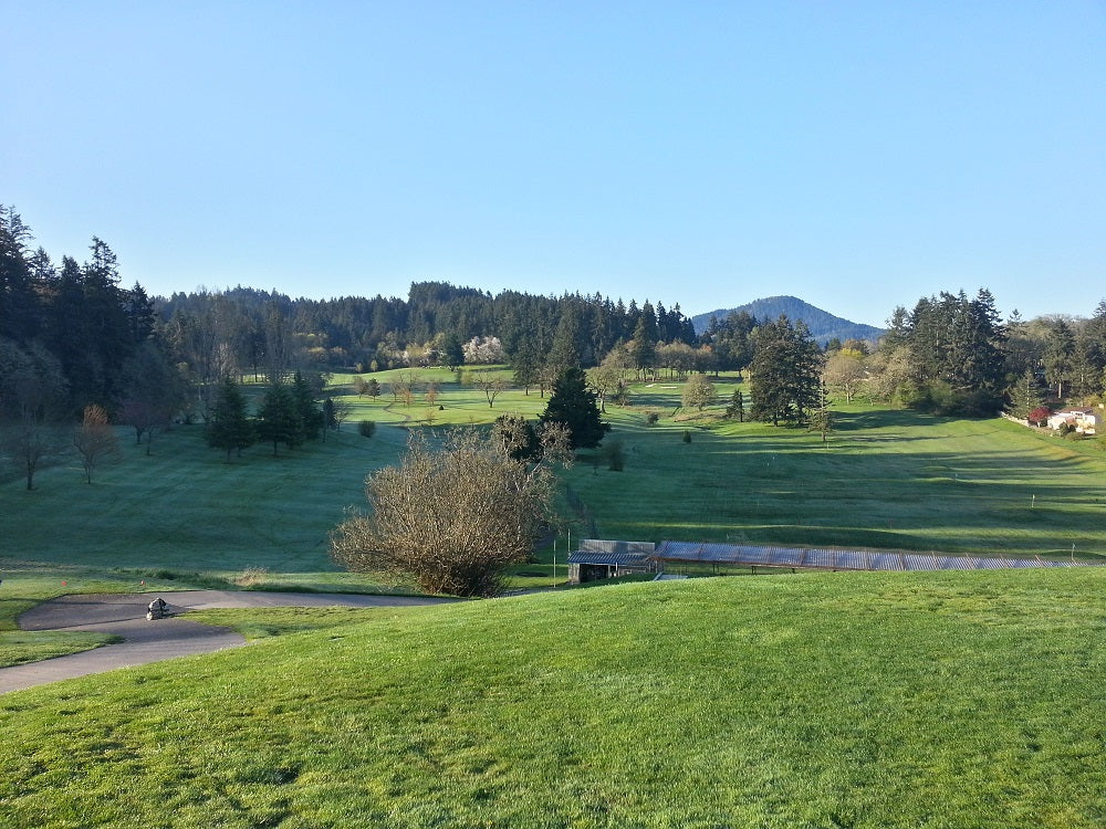 Event Report: 2015 Laurelwood Open