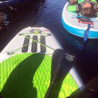 Werner Rip Stick 79 SUP Paddle