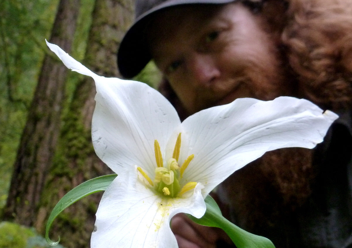 Columbia Gorge Wildflowers - Spring 2014