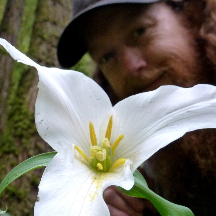 Columbia Gorge Wildflowers - Spring 2014