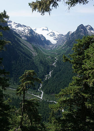 Hoh Rainforest