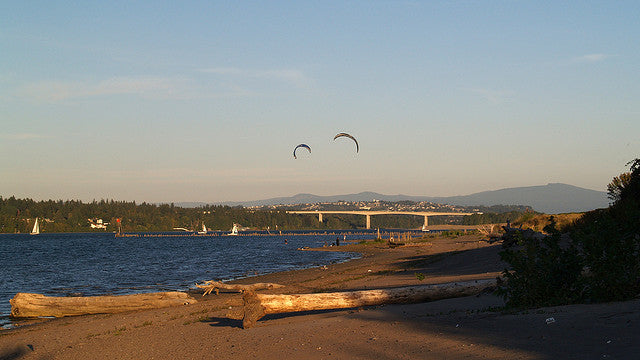 Trip Report: Stand Up Paddleboarding Broughton Beach