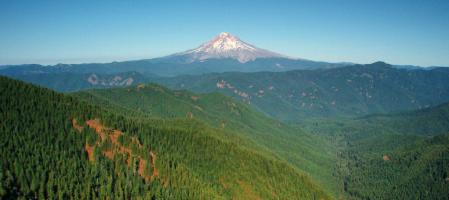 Fall Hikes on Mt Hood