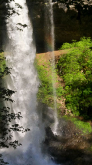 Trip Report: Silver Falls State Park