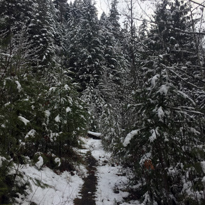 Fish Creek Trail